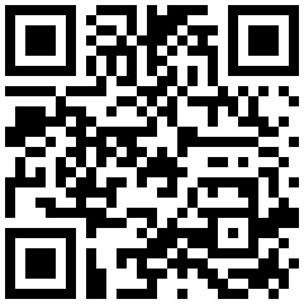 QR-Code: http://orte.land-der-ideen.de/projekt/deutschsommer-2836