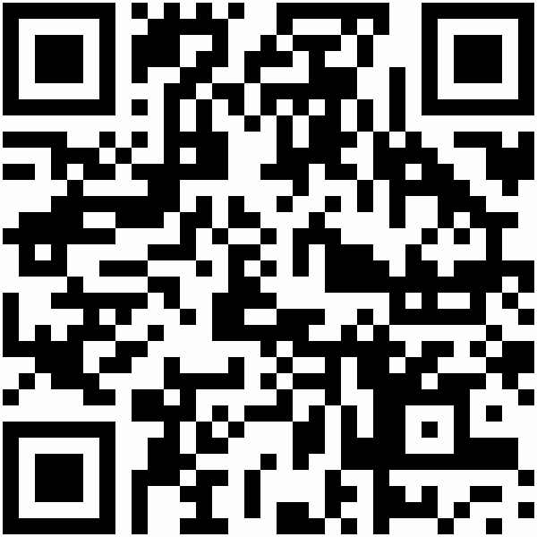 QR-Code: http://orte.land-der-ideen.de/projekt/partners-in-leadership-2065
