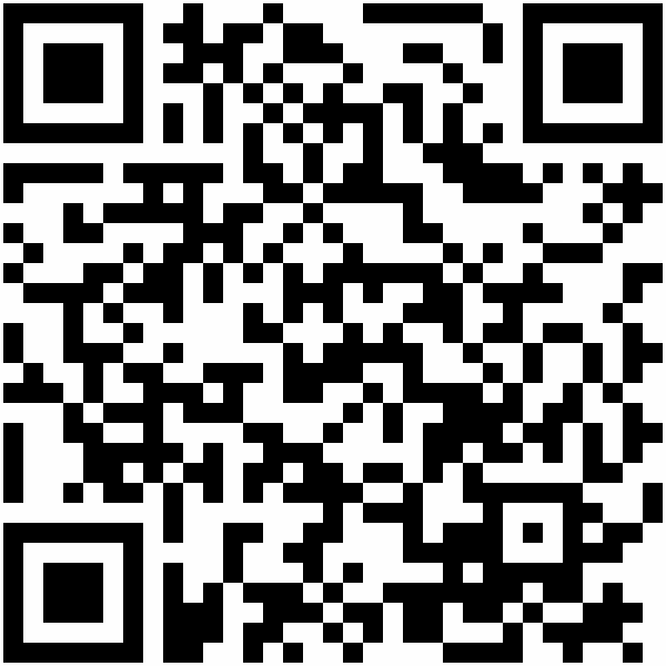 QR-Code: http://orte.land-der-ideen.de/projekt/peer-leader-international-2955